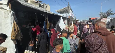 Distribution Gaza