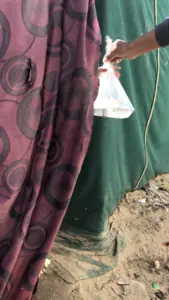 Distribution Gaza
